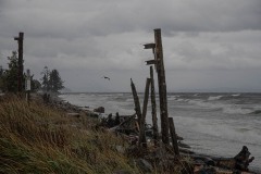 AlanKlughammer.com_20211012-_AK57618