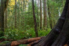 AlanKlughammer.com_20211013-_AK57707-HDR