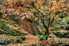 AlanKlughammer.com_20211024-_AK57744