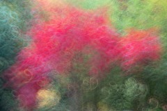 AlanKlughammer.com_20211024-_AK57767