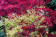 AlanKlughammer.com_20211024-_AK57772