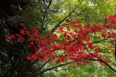 AlanKlughammer.com_20211024-_AK57796