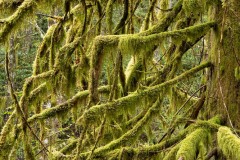 AlanKlughammer.com_20211107-_AK57814