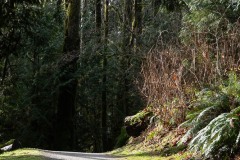 AlanKlughammer.com_20211223-_AK58009