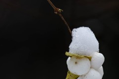 AlanKlughammer.com_20211228-_AK58050