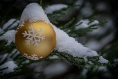 AlanKlughammer.com_20211228-_AK58103-Edit