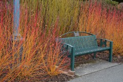 AlanKlughammer.com_20210130-_AK55769