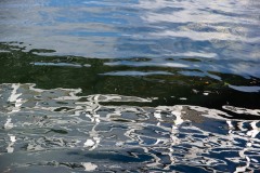 AlanKlughammer.com_20210306-_6102605