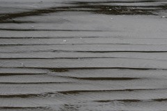 AlanKlughammer.com_20210402-_AK56088
