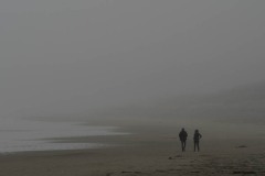 AlanKlughammer.com_20210403-_AK56217