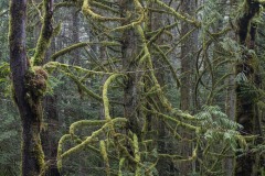 AlanKlughammer.com_20230102-_8501812