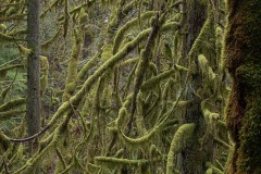 AlanKlughammer.com_20230102-_8501821