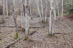 AlanKlughammer.com_20230102-_8501839