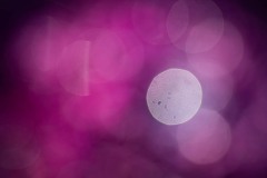 AlanKlughammer.com_20230124-_AK50956