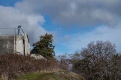 AlanKlughammer.com_20230307-_8501918