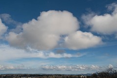 AlanKlughammer.com_20230307-_8501947