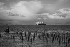 AlanKlughammer.com_20230404-_8502224