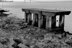 AlanKlughammer.com_20230405-IMG_E0351