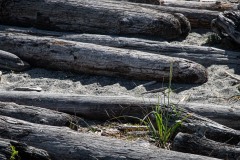 AlanKlughammer.com_20230429-_AKP0030