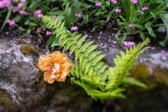AlanKlughammer.com_20230507-_8503404