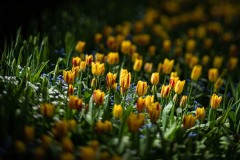 AlanKlughammer.com_20230507-_8503439