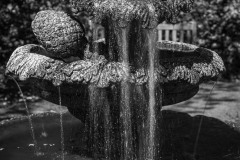 AlanKlughammer.com_20230527-_8503559