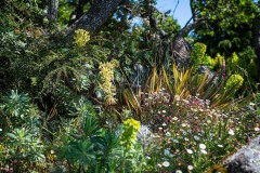 AlanKlughammer.com_20230527-_8503578