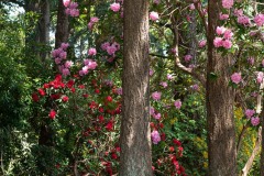 AlanKlughammer.com_20230527-_8503592