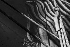 AlanKlughammer.com_20230715-_AKP0312