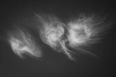 AlanKlughammer.com_20230715-_AKP0359