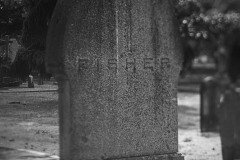 AlanKlughammer.com_20230826-_8503621