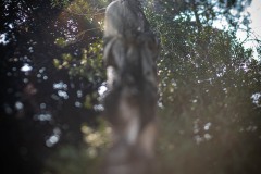 AlanKlughammer.com_20230826-_8503624