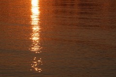 AlanKlughammer.com_20230916-_8504319