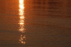 AlanKlughammer.com_20230916-_8504319