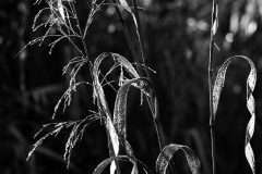AlanKlughammer.com_20231007-_8504395