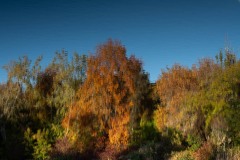 AlanKlughammer.com_20231029-_8504492