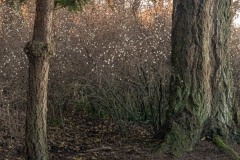 AlanKlughammer.com_20231231-_8504610