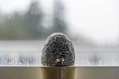 AlanKlughammer.com_20240127-_AKP0847