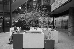 AlanKlughammer.com_20240210-_AKP0903