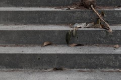 AlanKlughammer.com_20240217-_8504801