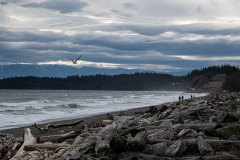 AlanKlughammer.com_20240217-_8504820