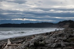 AlanKlughammer.com_20240217-_8504820