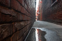 AlanKlughammer.com_20240316-_AKP0977