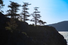 AlanKlughammer.com_20240420-_8505354