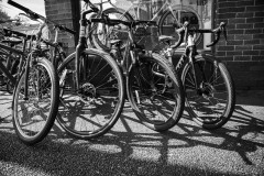 AlanKlughammer.com_20240525-_8505474
