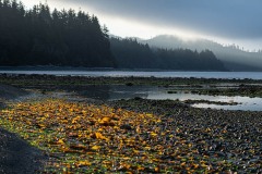 AlanKlughammer.com_20240805-_8505667