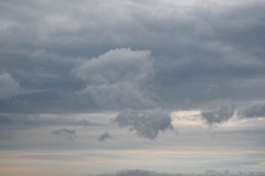 AlanKlughammer.com_20240824-_8505693