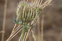 AlanKlughammer.com_20240824-_8505695