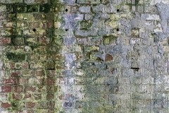 AlanKlughammer.com_20240824-_8505716