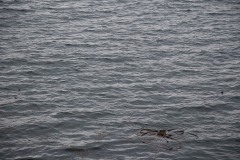 AlanKlughammer.com_20240824-_8505729